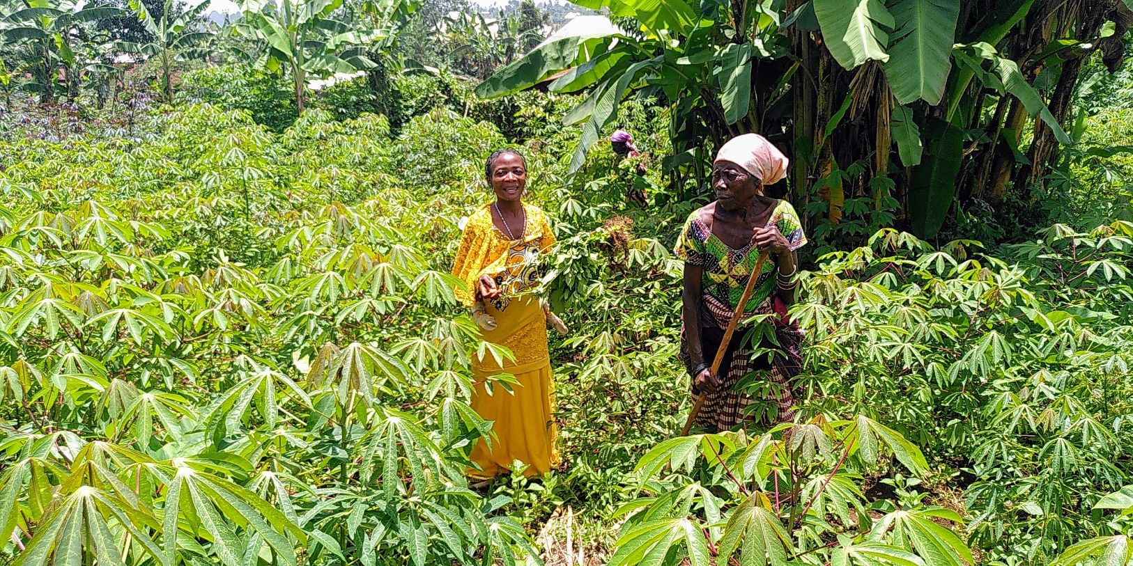 Förderung von Selbsthilfegruppen im Ostkongo