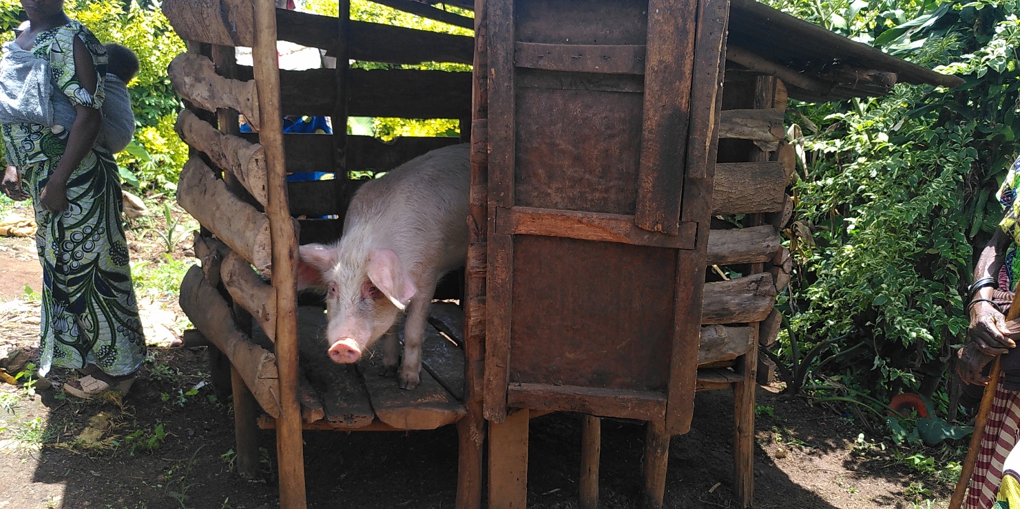Förderung von Selbsthilfegruppen im Ostkongo