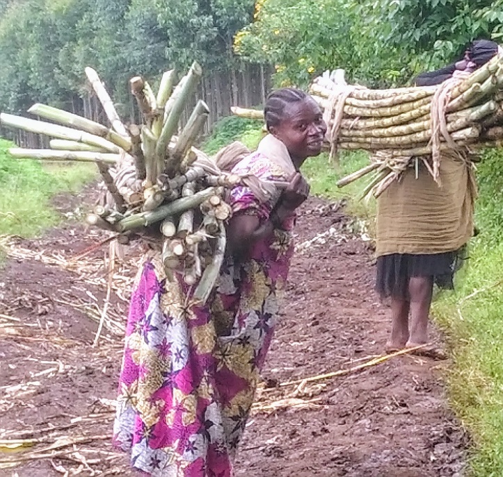 Förderung von Selbsthilfegruppen im Ostkongo