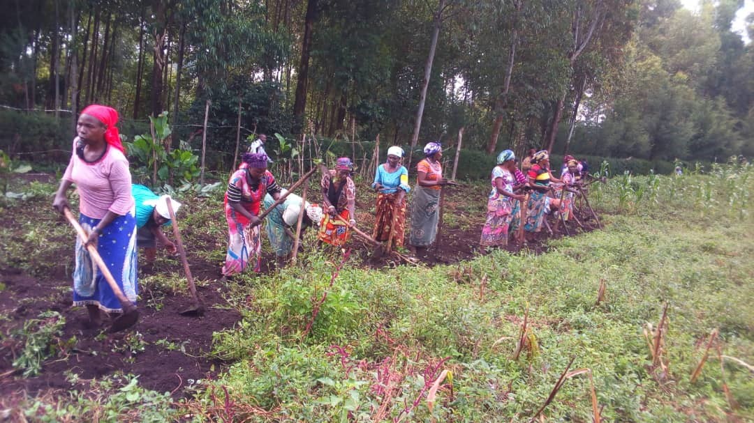 Förderung von Selbsthilfegruppen im Ostkongo